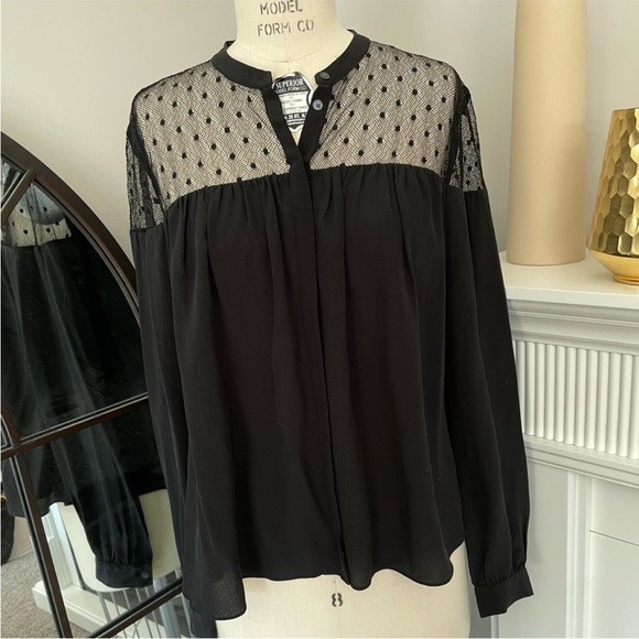 Aritzia Tops - Aritzia Wilfred Acacia Silk Mesh Sheer Blouse